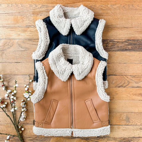 Winter Walks Vest